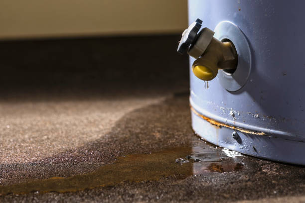 Best Water damage restoration services  in New Market, MD