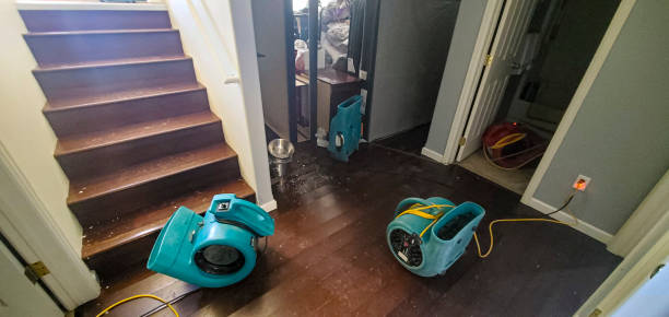 Best Water damage contractors near me  in New Market, MD