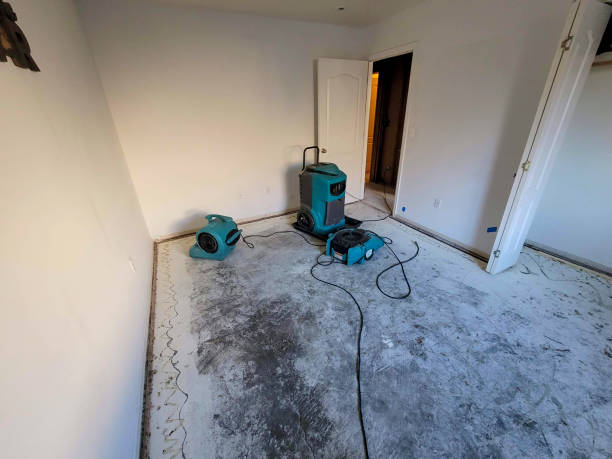 Best Emergency water extraction  in New Market, MD