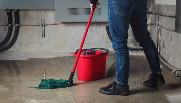 Best Water damage restoration near me  in New Market, MD