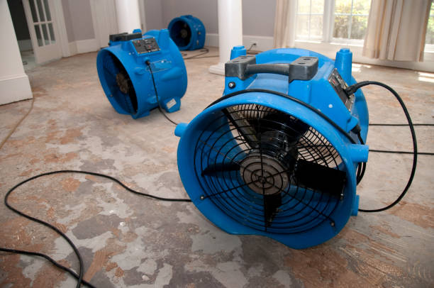 Best Sewage cleanup and water damage restoration  in New Market, MD