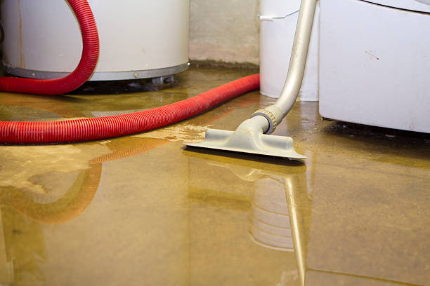 Best Residential water damage restoration  in New Market, MD