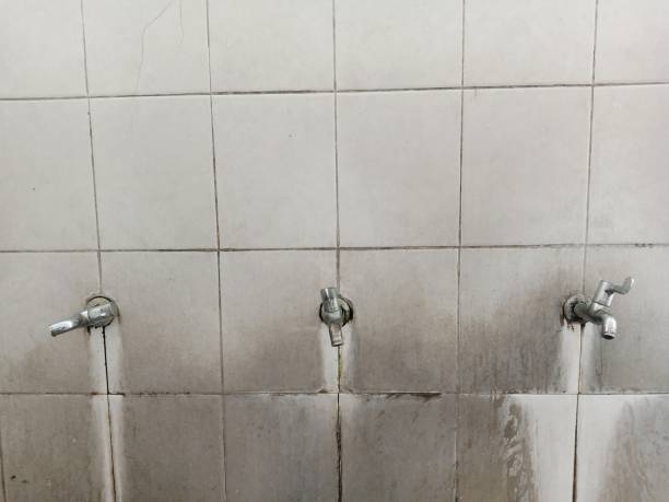 Best 24/7 water damage repair  in New Market, MD