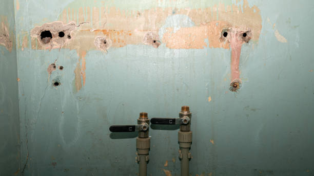 Best Water damage cleanup near me  in New Market, MD