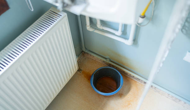 Best Flood damage cleanup  in New Market, MD