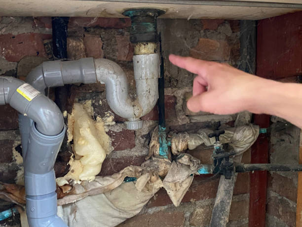 Best Basement water damage restoration  in New Market, MD