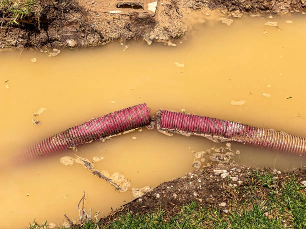 Professional Water damage restoration in New Market, MD