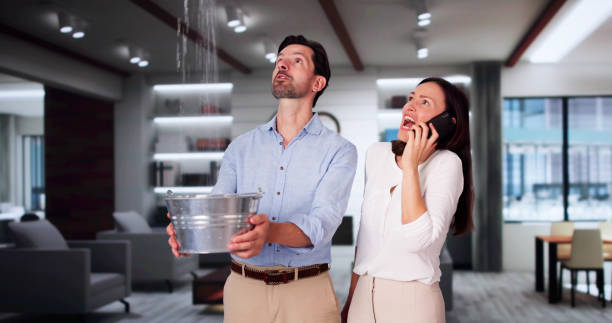 Best Flood damage cleanup  in New Market, MD