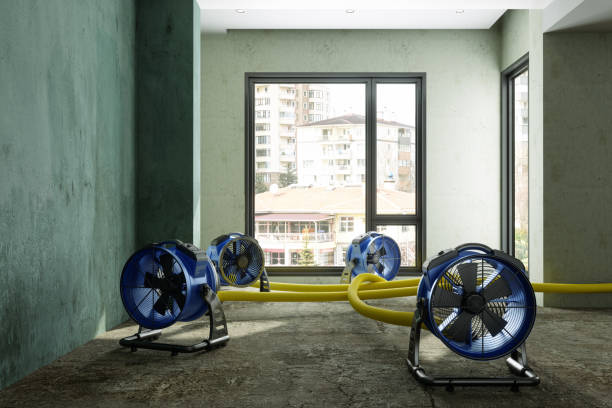 Sewage cleanup and water damage restoration in New Market, MD